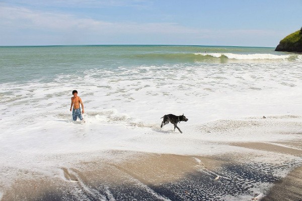 Boy and Dog in the Ocean